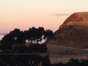 20140106-185751.jpg