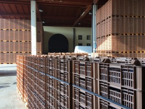 Drying racks